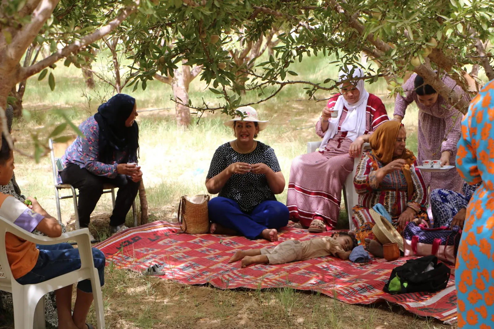 Meeting with women from the Gafsa oases, seated on a red rug in the shade of almond trees