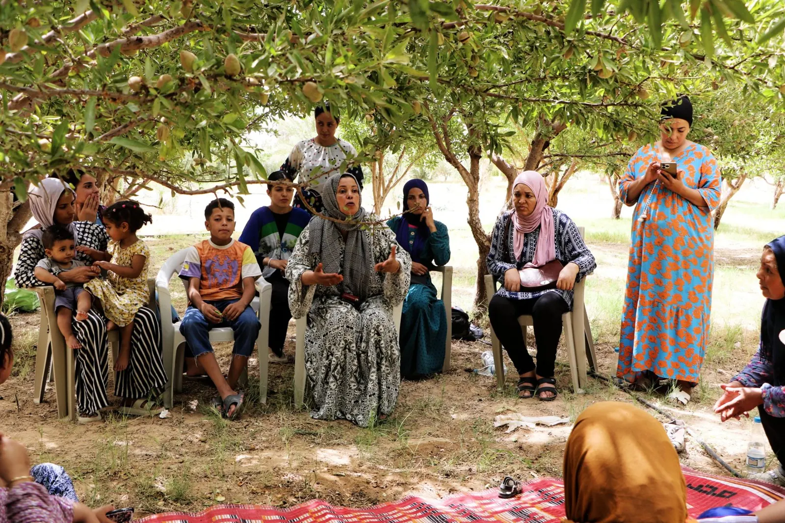Participants talking in the shade of almond trees