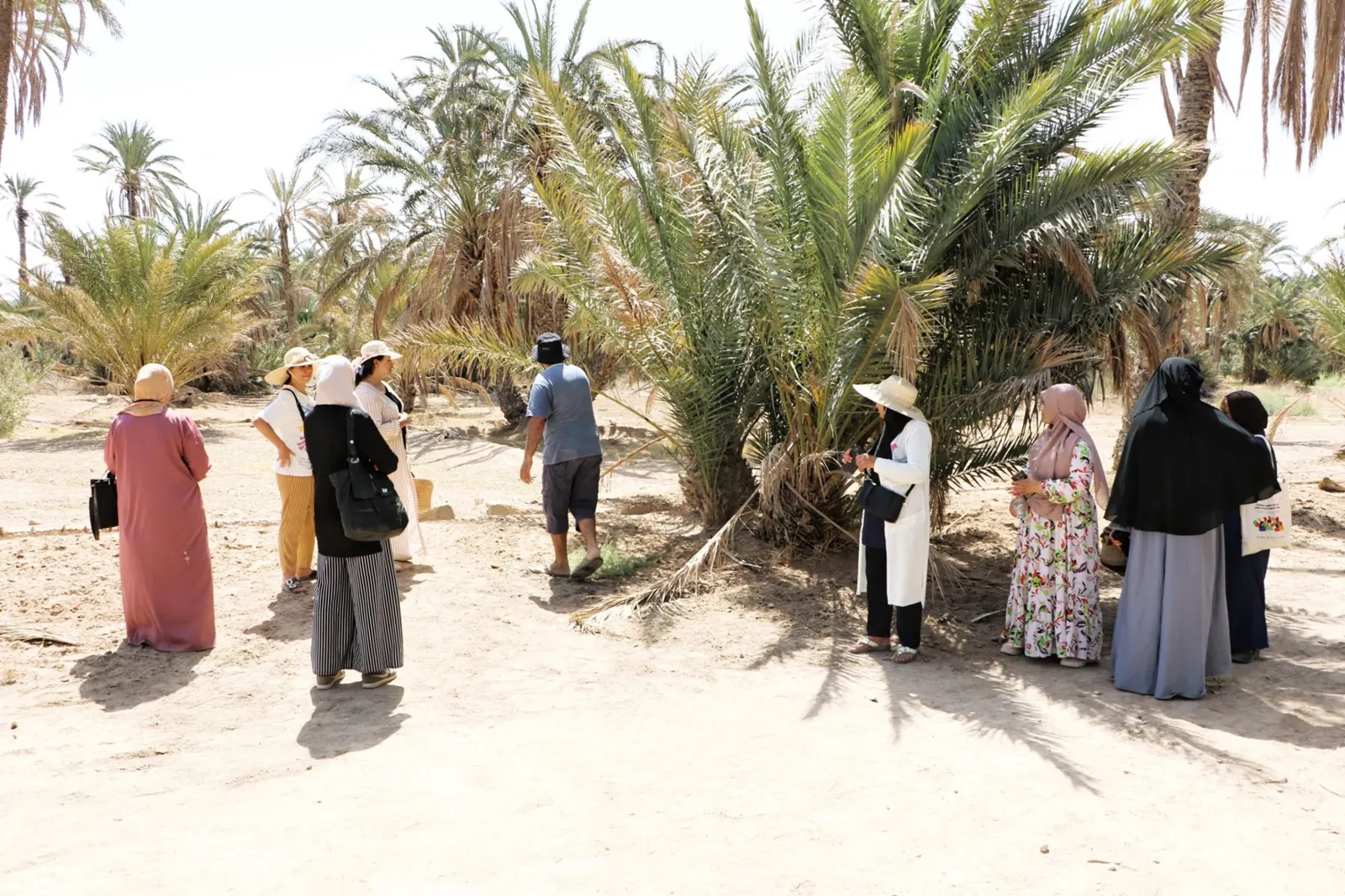 Participants visiting a palm grove in Gafsa